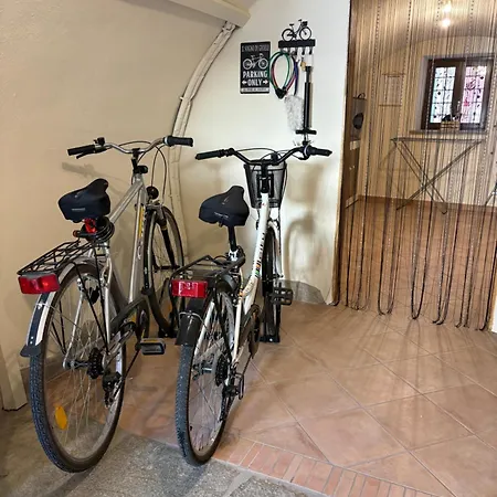 Il Sogno Di Gioele * Borgo San Dalmazzo